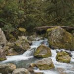 La Travesía del Sendero de Milford: Guía de Expedición y Senderismo por los Fiordos y Selvas del Suroeste de Nueva Zelanda