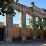 El secreto del coral y el alga: la liturgia del Mercado Central de Cádiz y los tesoros de la Bahía