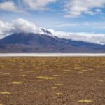 El silencio de las alturas en la Puna de Atacama: Logística, trenes de altura y la conectividad invisible del altiplano