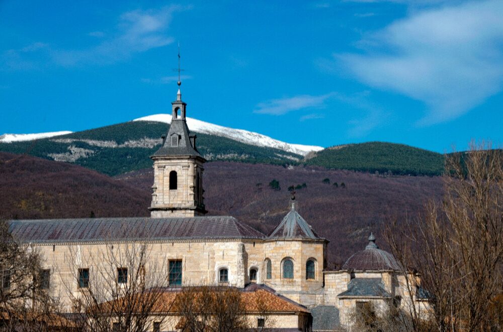 El Renacimiento de la Cestería de Mimbre en el Valle de Oteiza: Paisaje, Materia y Diseño en Navarra