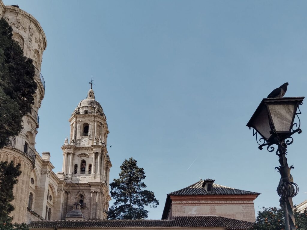 El secreto de la juncia y la sierra: la liturgia del Mercado Central de Jaén y los tesoros de la Campiña