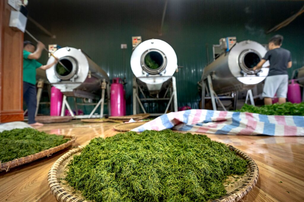 El silencio milenario de los caminos del té en Oolong: ingeniería de bancales y arquitectura de niebla en las montañas de Taiwán