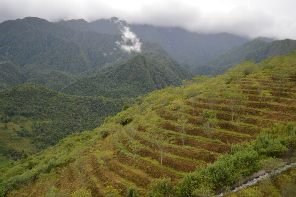 El latido de los bancales ancestrales: cómo la piedra seca y la custodia comunitaria salvan el valle de Jiuzhaigou