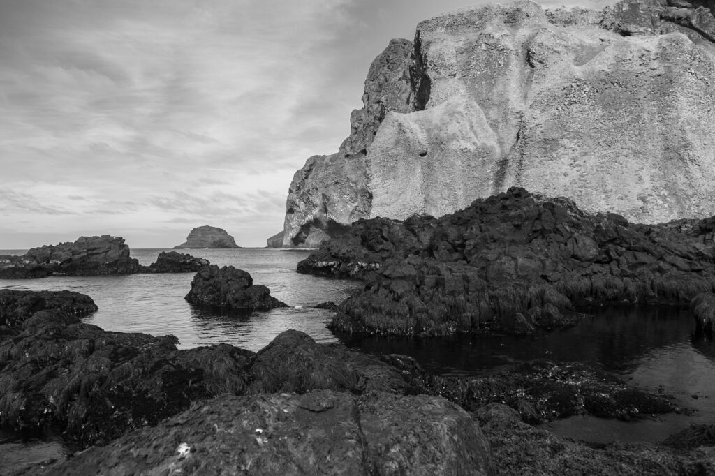 El refugio de los corales negros en el archipiélago de Revillagigedo: oceanografía profunda y conservación en los abismos del Pacífico mexicano