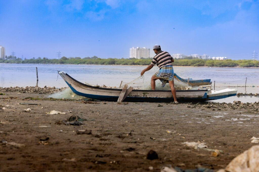 El latido de los manglares costeros: cómo la restauración de canales y la pesca artesanal transforman la conservación en el Parque Nacional Ciénaga de Zapata