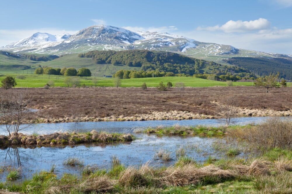 El latido de los bosques sumergidos: cómo la restauración de turberas y el ecoturismo fluvial transforman el norte de Escocia