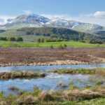 El latido de los bosques sumergidos: cómo la restauración de turberas y el ecoturismo fluvial transforman el norte de Escocia