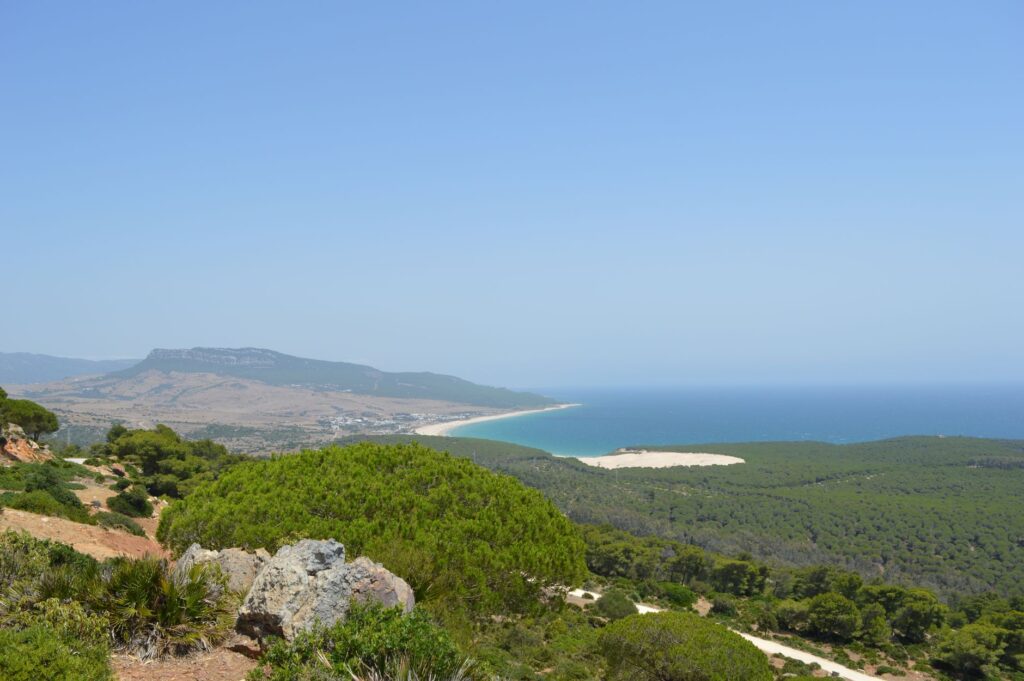 El Refugio de los Gigantes Alados: Conservación y Ecoturismo en el Estrecho de Gibraltar