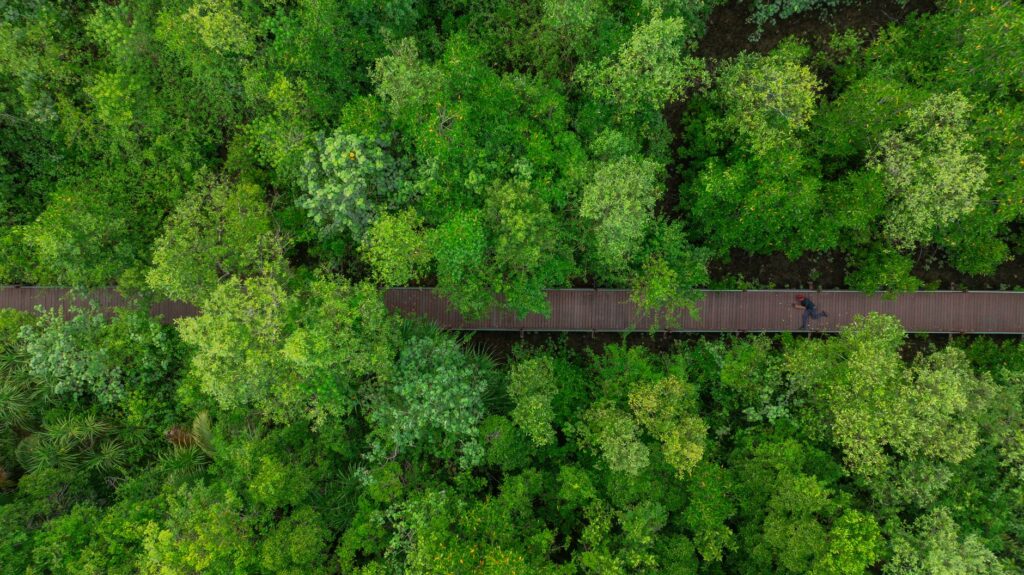El latido verde de Dakoh: el nuevo horizonte ecoturístico en el corazón de Kelantan