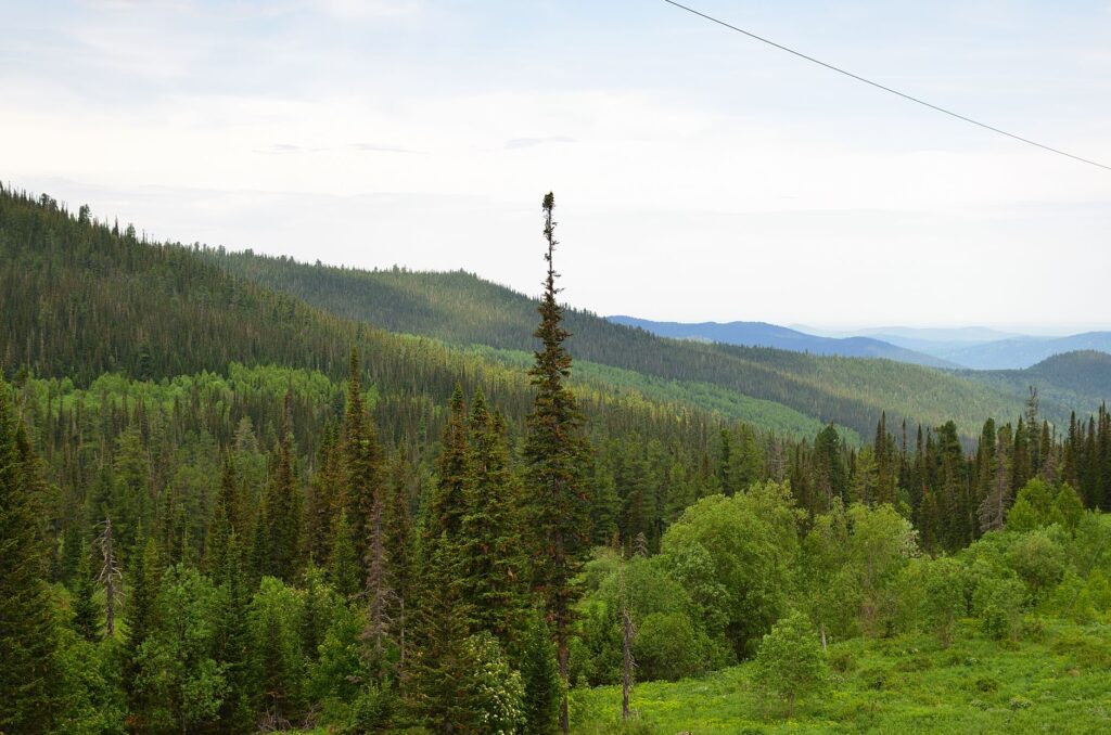 El latido de hierro del Transiberiano: Ingeniería continental, permafrost y la ruta transcontinental más larga del planeta