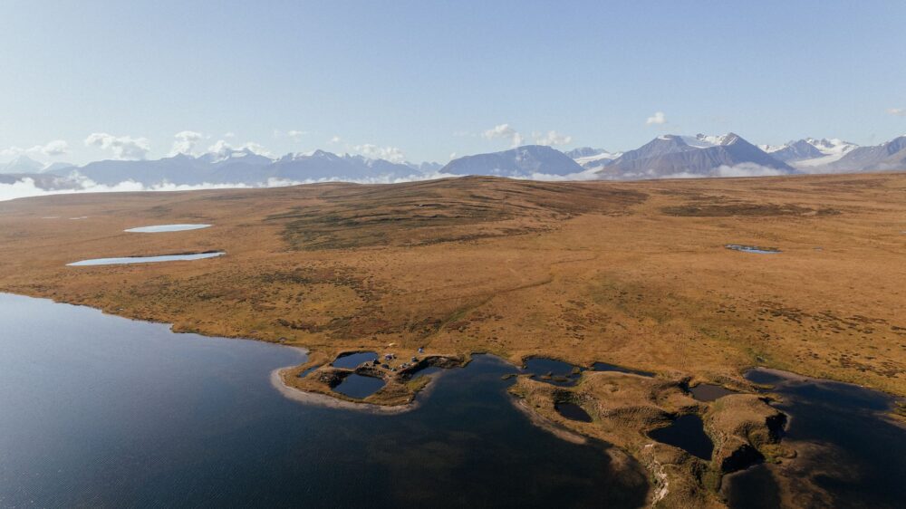 El refugio de la liebre ártica en la península de Seward: ecología nival y conservación en la tundra de Alaska