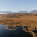 El refugio de la liebre ártica en la península de Seward: ecología nival y conservación en la tundra de Alaska