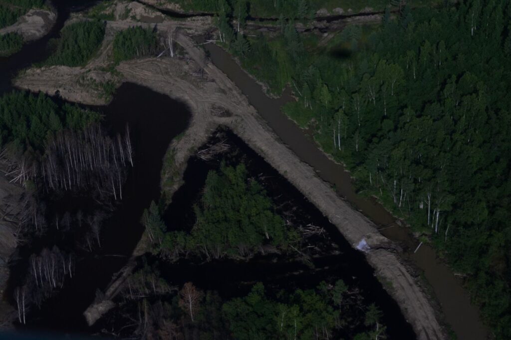 El laberinto de las turberas boreales: cómo la restauración hidrológica y los senderos de madera transforman la conservación en el Parque Nacional Oulanka