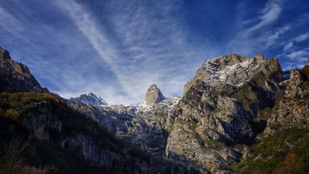 El Reino del Oso Pardo en la Cordillera Cantábrica: Biología, Ecoturismo y Coexistencia