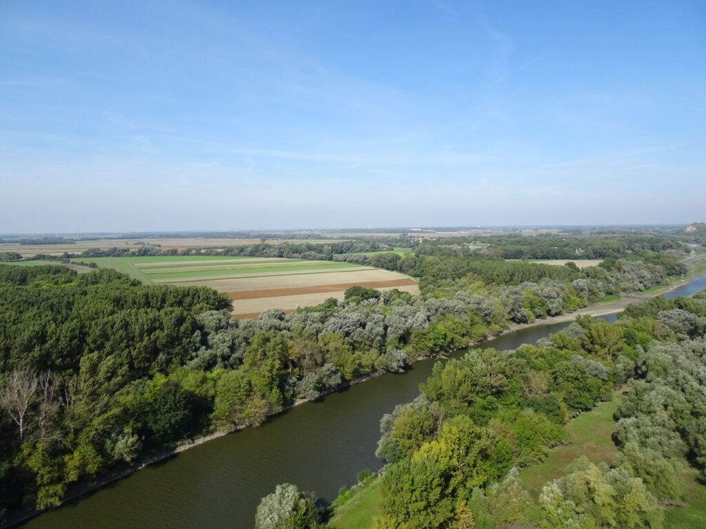 Ruedas sobre el Danubio de hierro: la navegación fluvial y los convoyes de carga que desafían los bajíos de las Puertas de Hierro