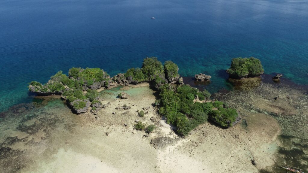 El Santuario Submarino del Arrecife de Apo: Dinámicas Oceánicas, Biodiversidad Coralina y Conservación en el Mar de Sulu