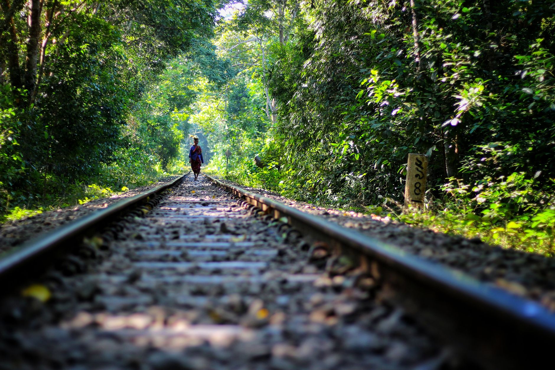 La Travesía del Ferrocarril Transgabonés: Guía de Expedición y Logística Ferroviaria por la Selva Ecuatorial de África Central