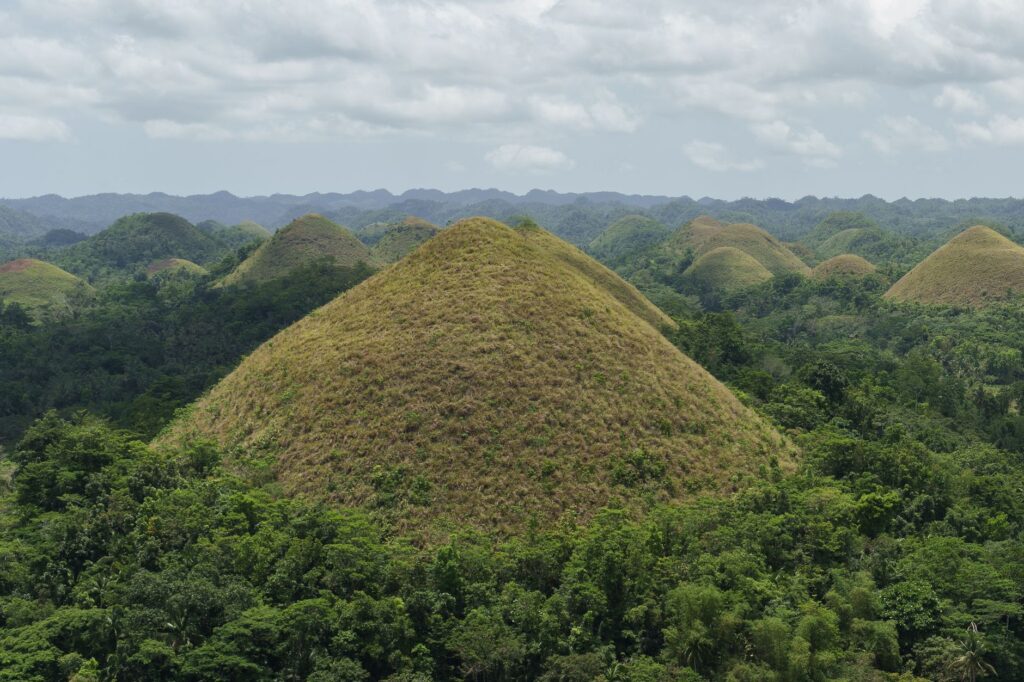 El Refugio del Tarsio en las Selvas de Bohol: Biología, Primatología y Conservación en el Corazón de Bisayas