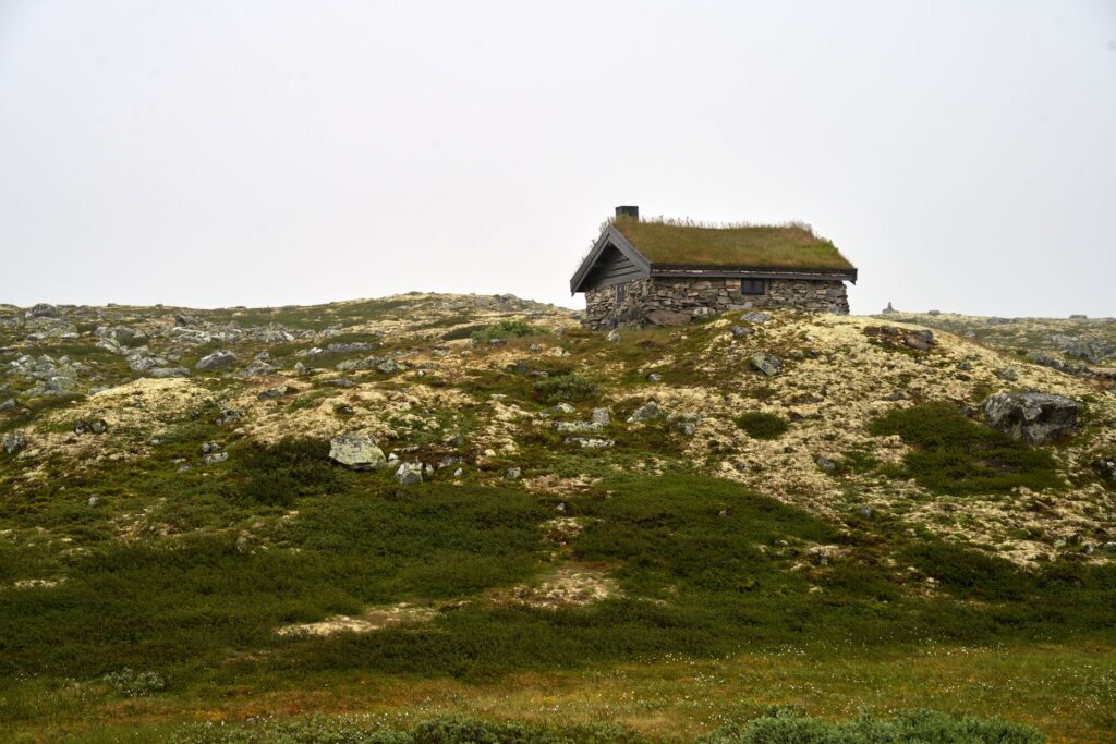 El Dominio Silencioso de Jotunheimen: Geología Glaciar, Alta Ruta y Sostenibilidad en el Techo de Noruega