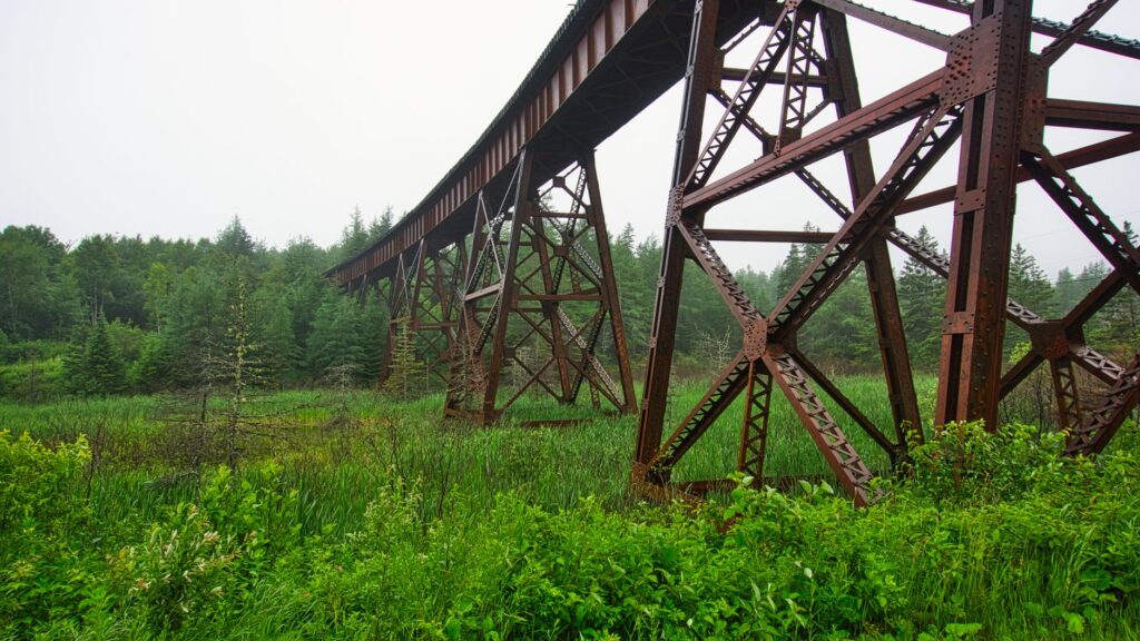 La Travesía del Ferrocarril Trans-Andino Austral: Guía de Expedición y Logística Ferroviaria por las Alturas de la Cordillera