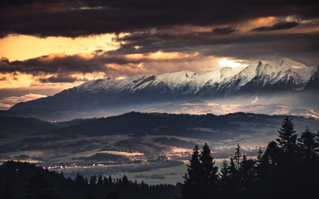 El refugio de la liebre de ventisquero en los Altos Tatras: biología, adaptación nival y conservación en las cumbres de Eslovaquia