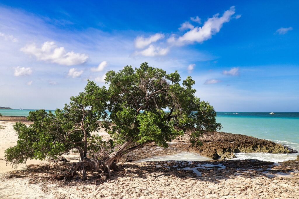 El nuevo compás de Aruba: por qué la isla busca transformar el turismo de estancia prolongada