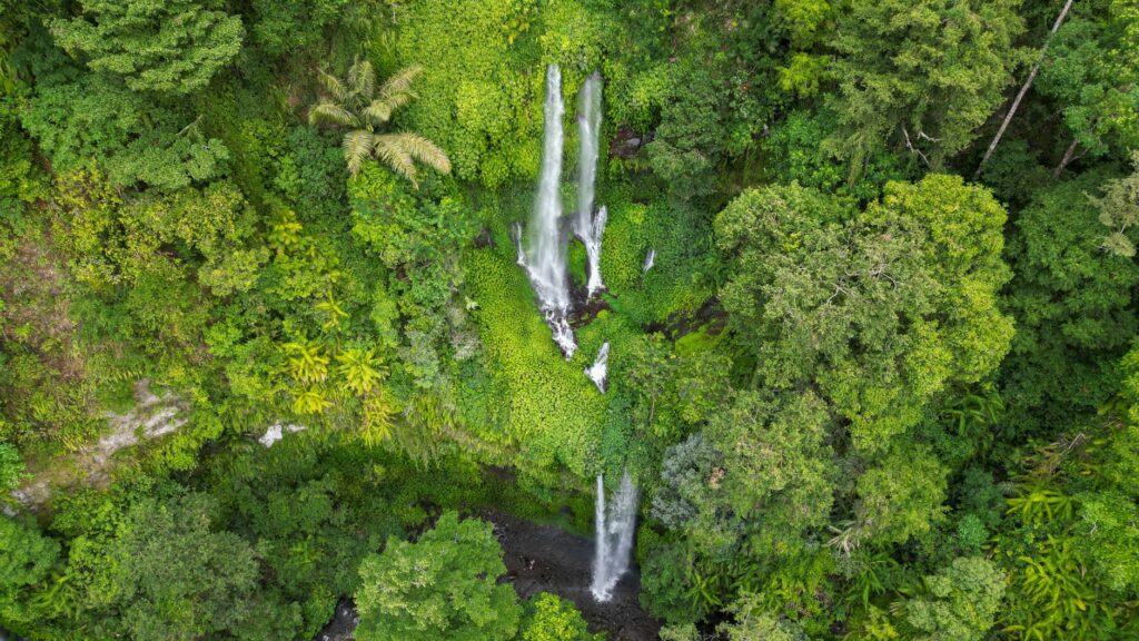 El declive invisible de Hawái: cómo el turismo masivo fractura el paraíso americano