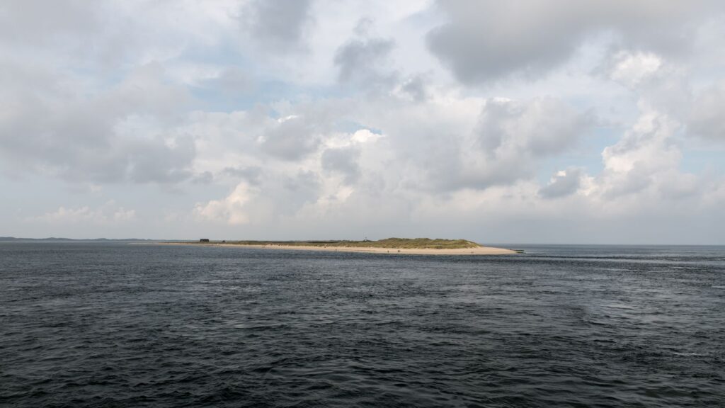 El Santuario Submarino del Mar de los Wadden: Dinámicas Mareales y Biodiversidad en el Litoral del Mar del Norte