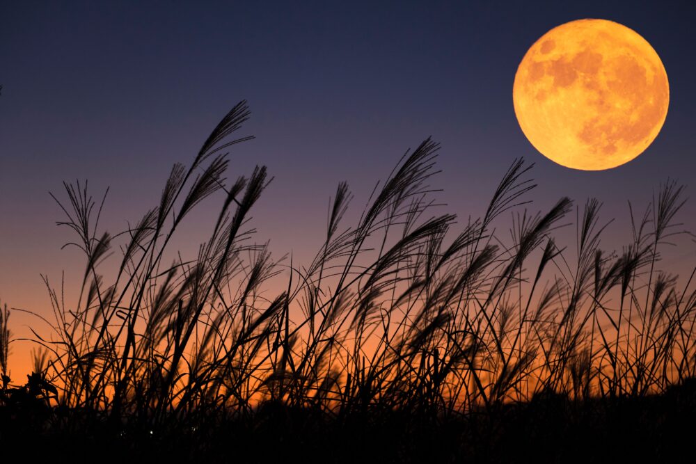 Luna de la cosecha 2026: bienvenido, otoño