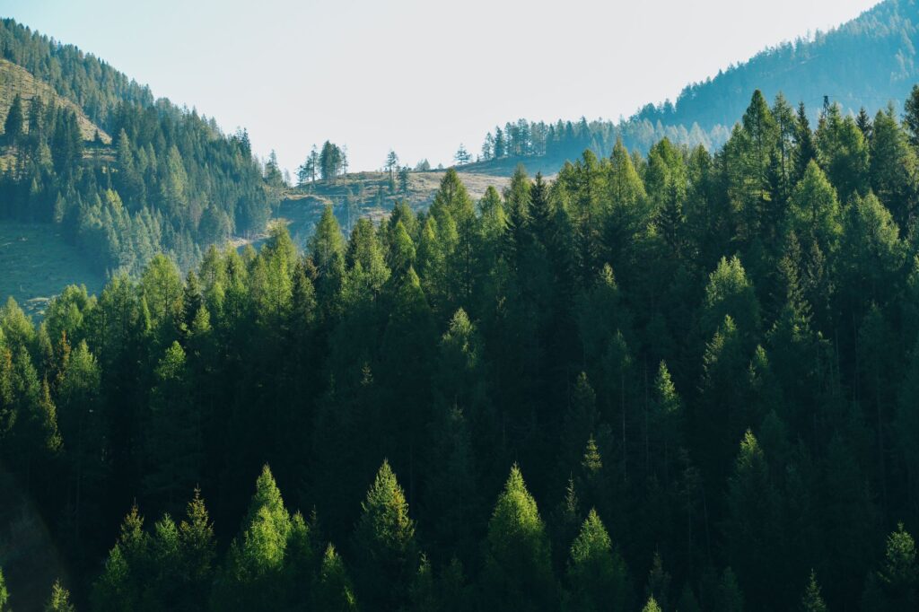 El latido férreo de los Alpes Julianos: Ingeniería, pasos de montaña y la conectividad ferroviaria de la línea Bohinj