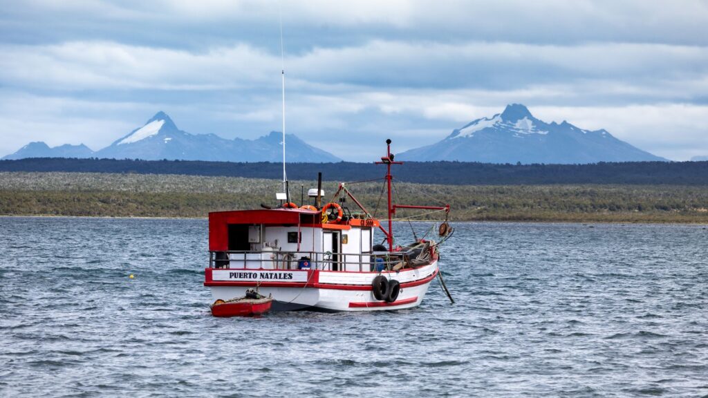 El Santuario Submarino del Canal de los Zorros: Dinámicas de Marea, Endemismo Abisal y Conservación en la Patagonia
