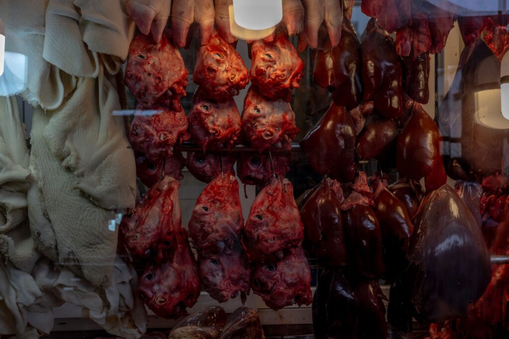 El secreto de la juncia y la sierra: la liturgia del Mercado Central de Jaén y los tesoros de la Campiña