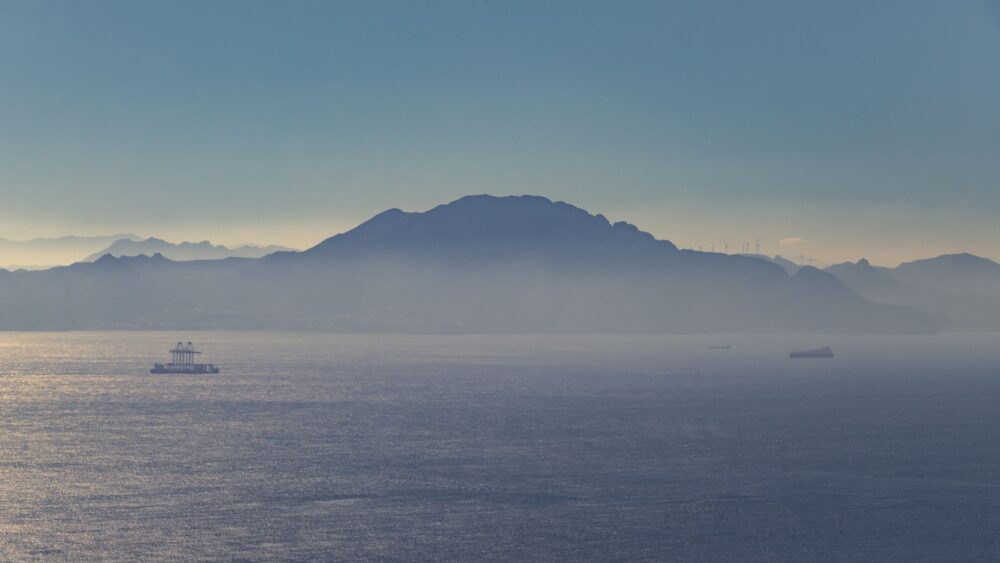 El Refugio de los Gigantes Alados: Conservación y Ecoturismo en el Estrecho de Gibraltar