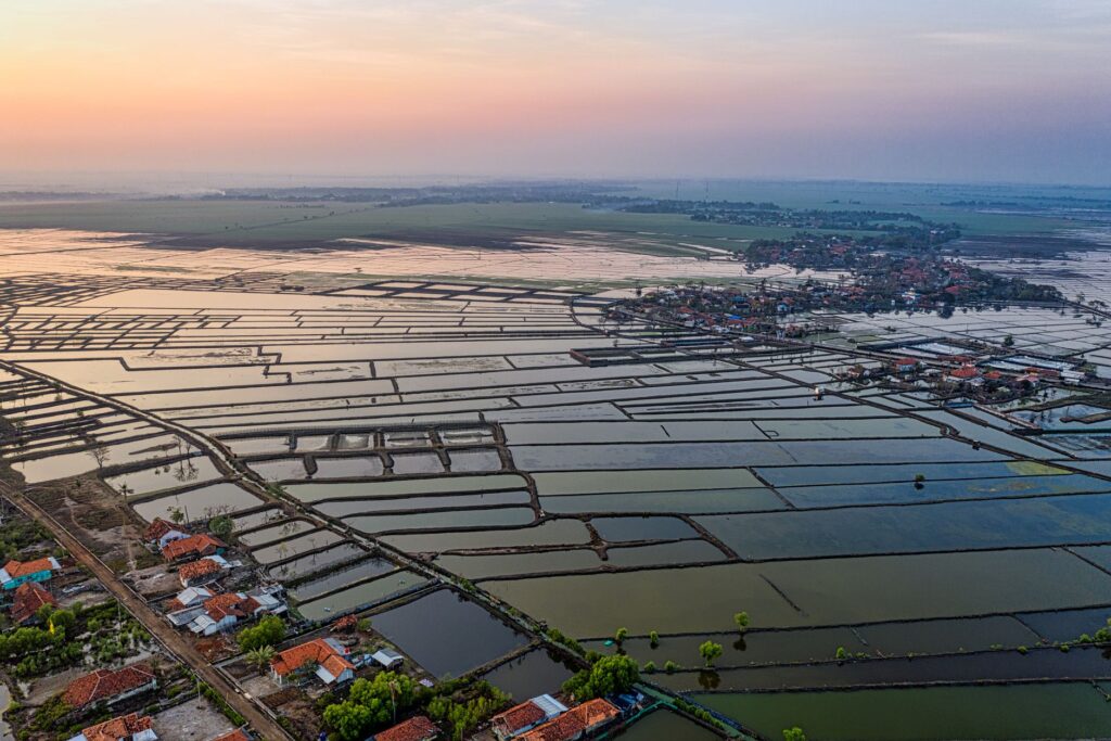 El latido meridional del delta del Ebro: Canales de riego, compuertas fluviales y la conectividad anfibia de los arrozales