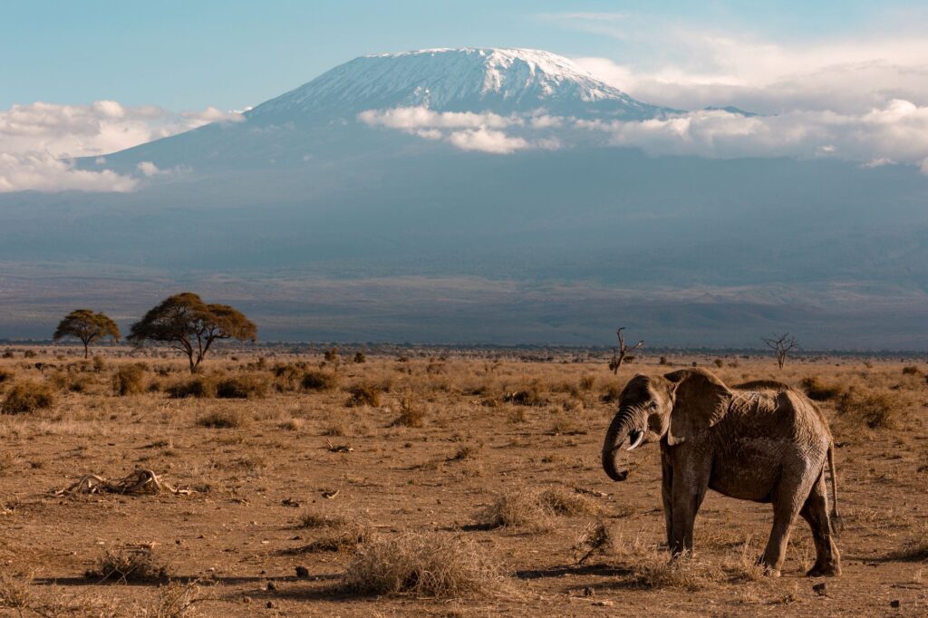 El hierro del Kilimanjaro: la resurrección ferroviaria que desafía las alturas de Tanzania
