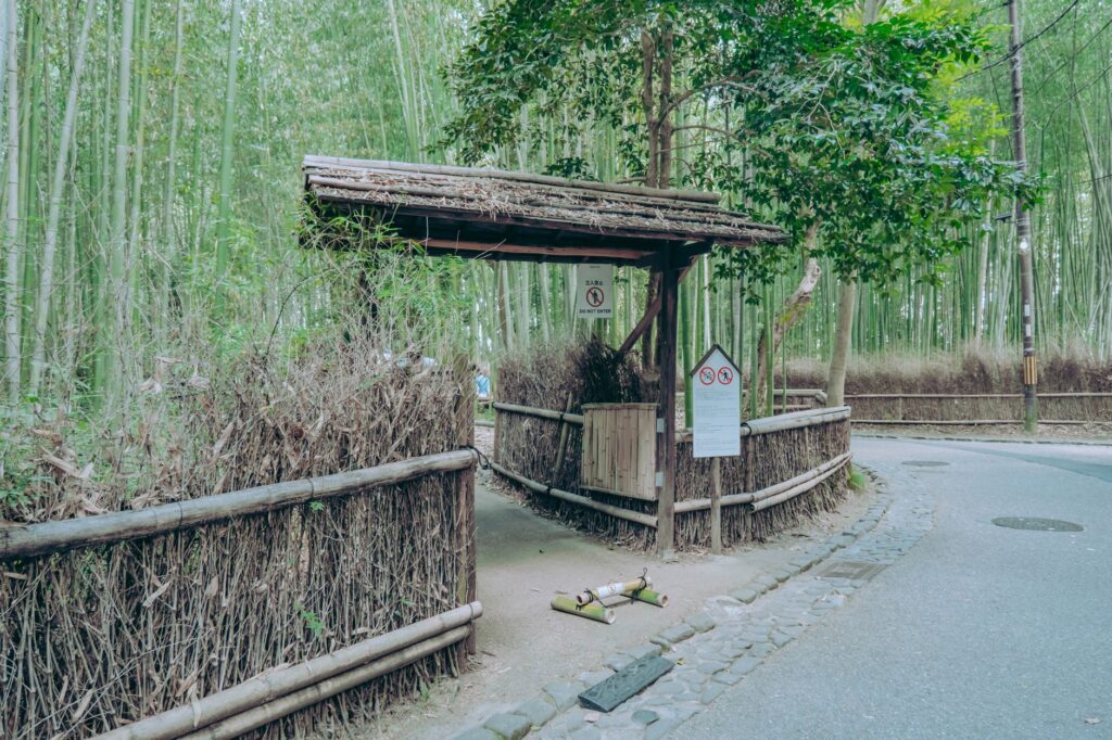 El silencio milenario de los bosques de bambú de Sagano: ingeniería acústica y bienestar zen en la periferia de Kioto