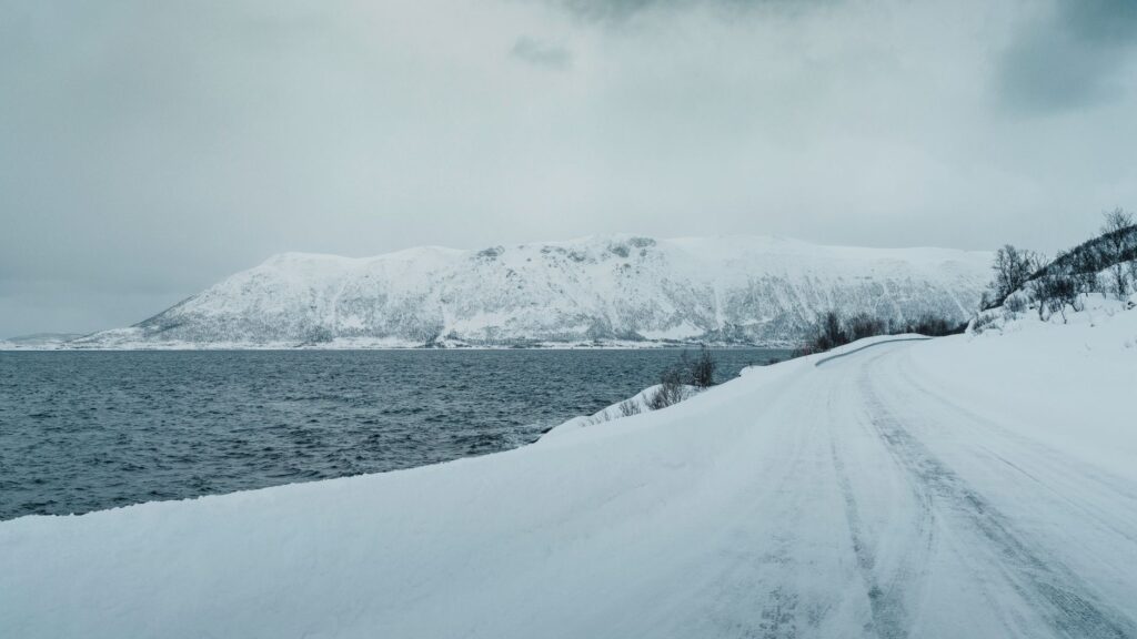 El laberinto intermodal del archipiélago de las islas Lofoten: transbordadores de fiordo, carreteras de pilotes y la frágil conectividad de un confín ártico