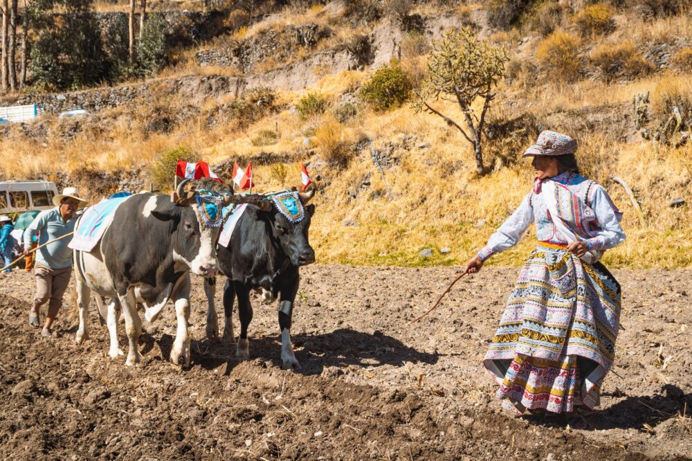 El nuevo pacto de Machu Picchu: la transformación digital y sostenible que redefine el turismo en los Andes peruanos