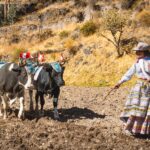 El nuevo pacto de Machu Picchu: la transformación digital y sostenible que redefine el turismo en los Andes peruanos
