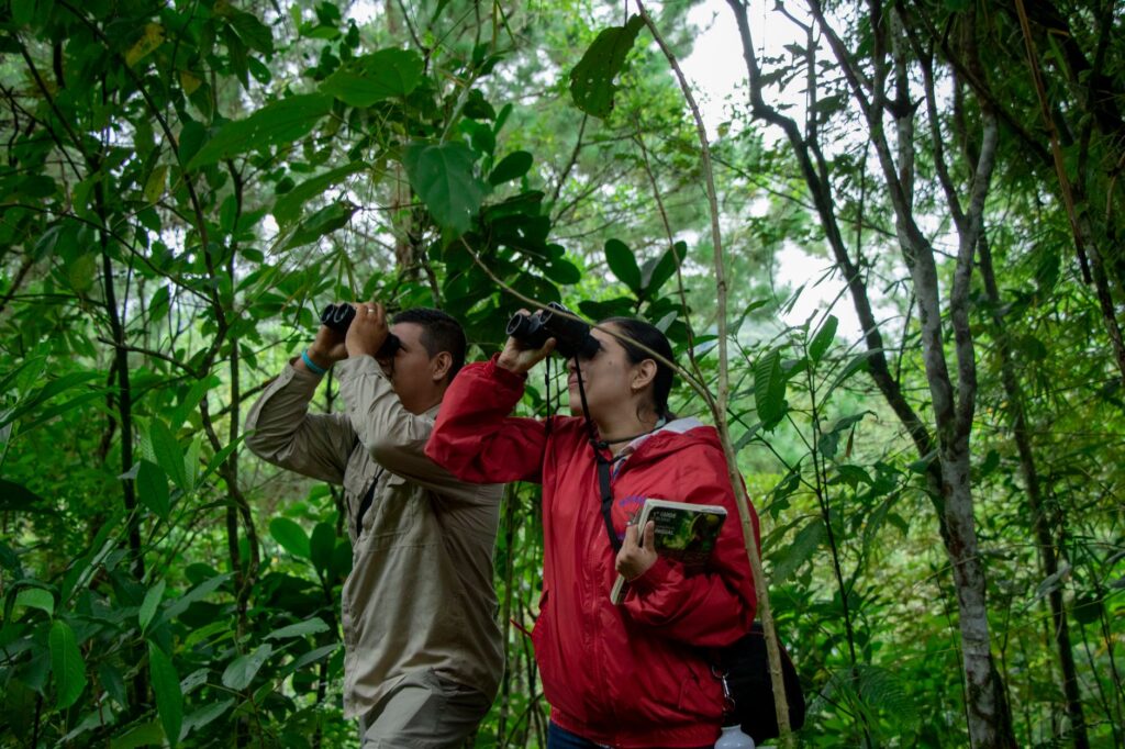 Hospitalidad verde en Costa Rica: Arquitectura y refugios silvestres entre cumbres y selvas
