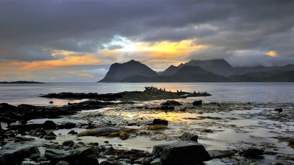 El laberinto de los fiordos árticos: cómo la navegación híbrida y los corredores multimodales transforman el transporte en las islas Lofoten