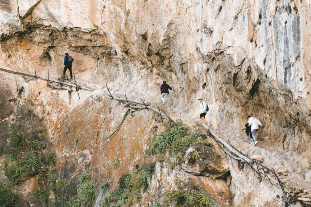 El refugio del alimoche en las hoces del alto Eria: ecología rupícola y conservación en los cañones leoneses