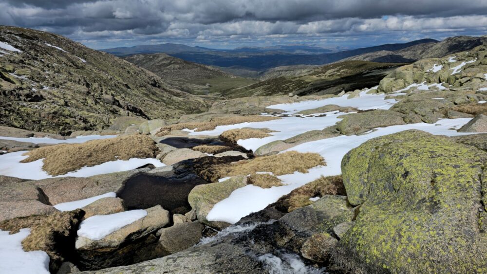 El refugio de la cabra montés en los riscos de Gredos: ecología rupícola y conservación en el macizo abulense
