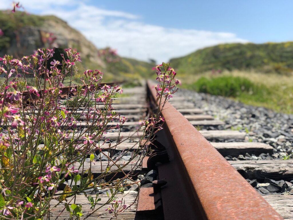 El Ferrocarril Transpirenaico Oriental: Ingeniería de cumbres, túneles internacionales y la conectividad ferroviaria entre Francia e Iberia