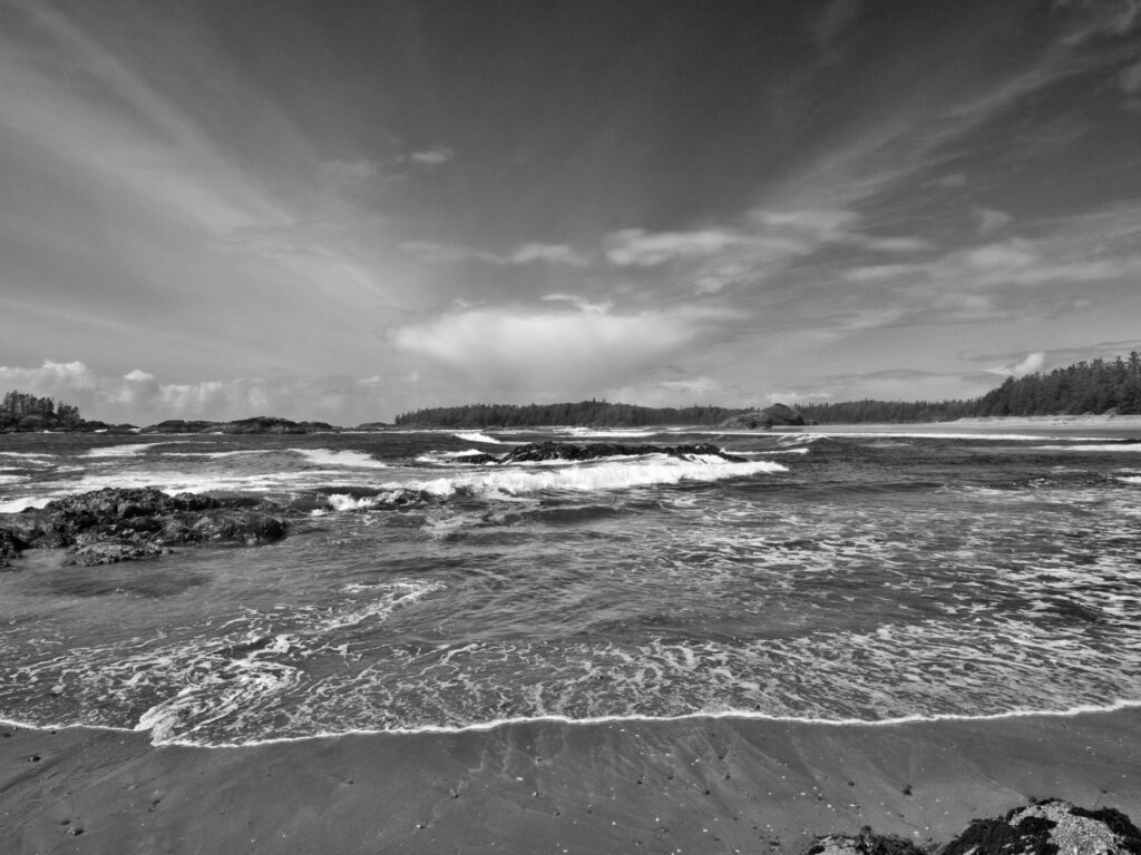 La Travesía del Sendero West Coast Trail en la Isla de Vancouver: Guía de Expedición y Senderismo por los Acantilados y Playas Salvajes del Pacífico