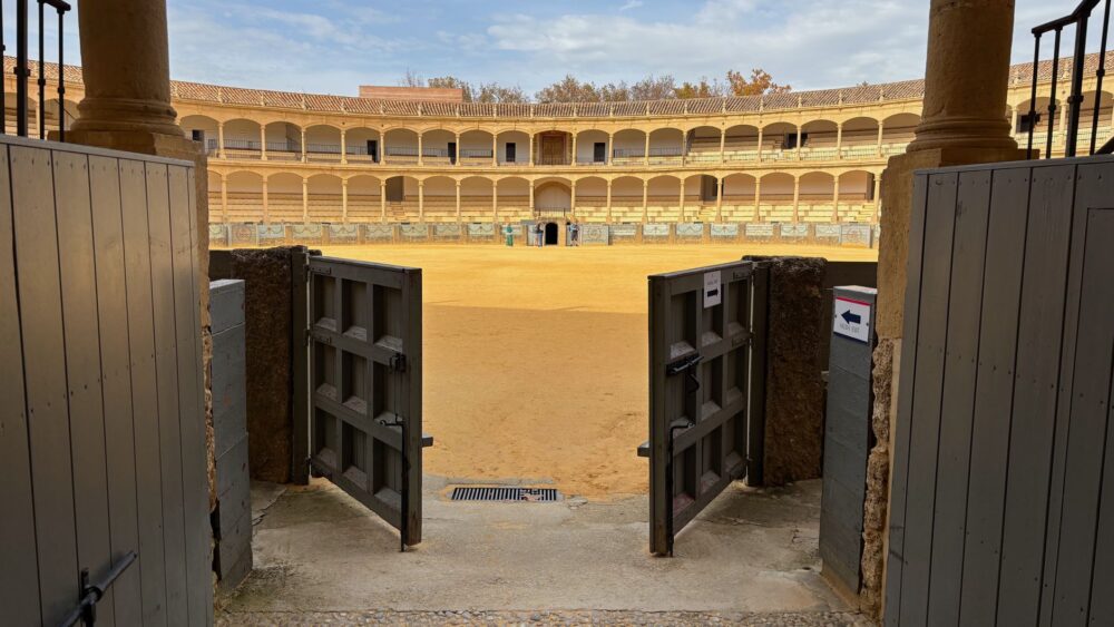 El latido de los matorrales semiáridos: cómo la recuperación de suelos yesíferos y la apicultura de secano transforman la conservación en el Parque Natural de las Bardenas Reales