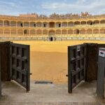El latido de los matorrales semiáridos: cómo la recuperación de suelos yesíferos y la apicultura de secano transforman la conservación en el Parque Natural de las Bardenas Reales