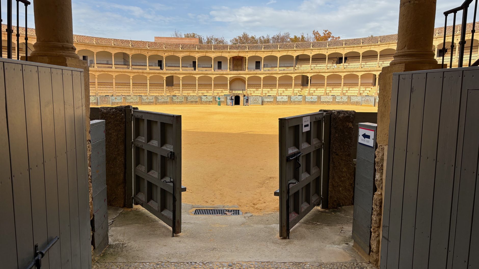 El latido de los matorrales semiáridos: cómo la recuperación de suelos yesíferos y la apicultura de secano transforman la conservación en el Parque Natural de las Bardenas Reales