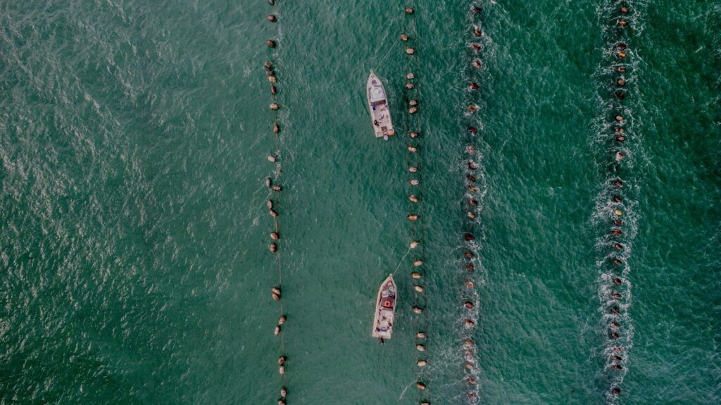 El silencio milenario de los fiordos de Marlborough: acuicultura submarina y navegación de bajura en los abismos de Nueva Zelanda