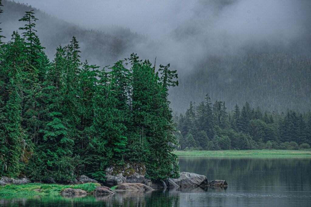 El silencio milenario de los fiordos de Haida Gwaii: navegación de bajura y arquitectura totémica en el archipiélago boreal